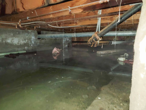 , AL Water damage restoration Company