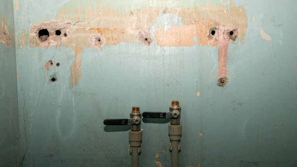 Best Water damage mitigation services  in Piedmont, AL
