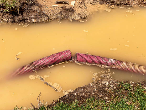Best Flood restoration services  in Piedmont, AL