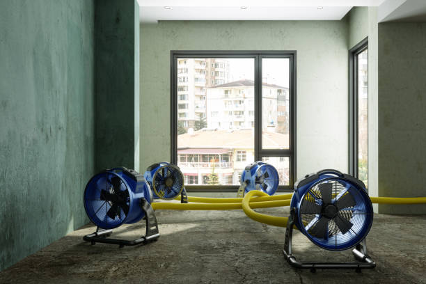 Best 24-hour water damage restoration  in Piedmont, AL