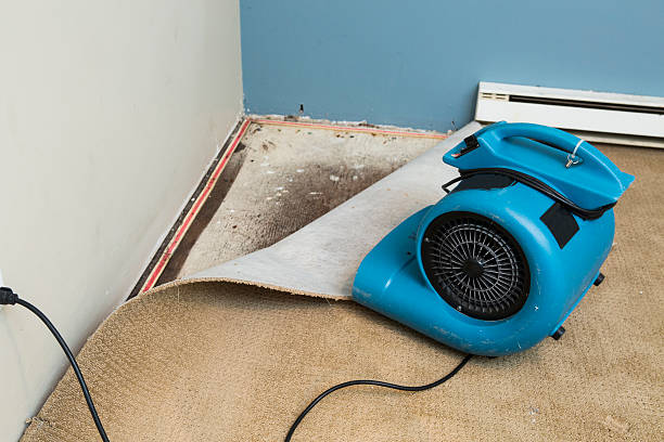 Best 24/7 water damage repair  in Piedmont, AL